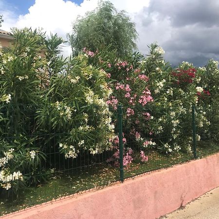 Moderne Mini Maison Lézignan-Corbières المظهر الخارجي الصورة