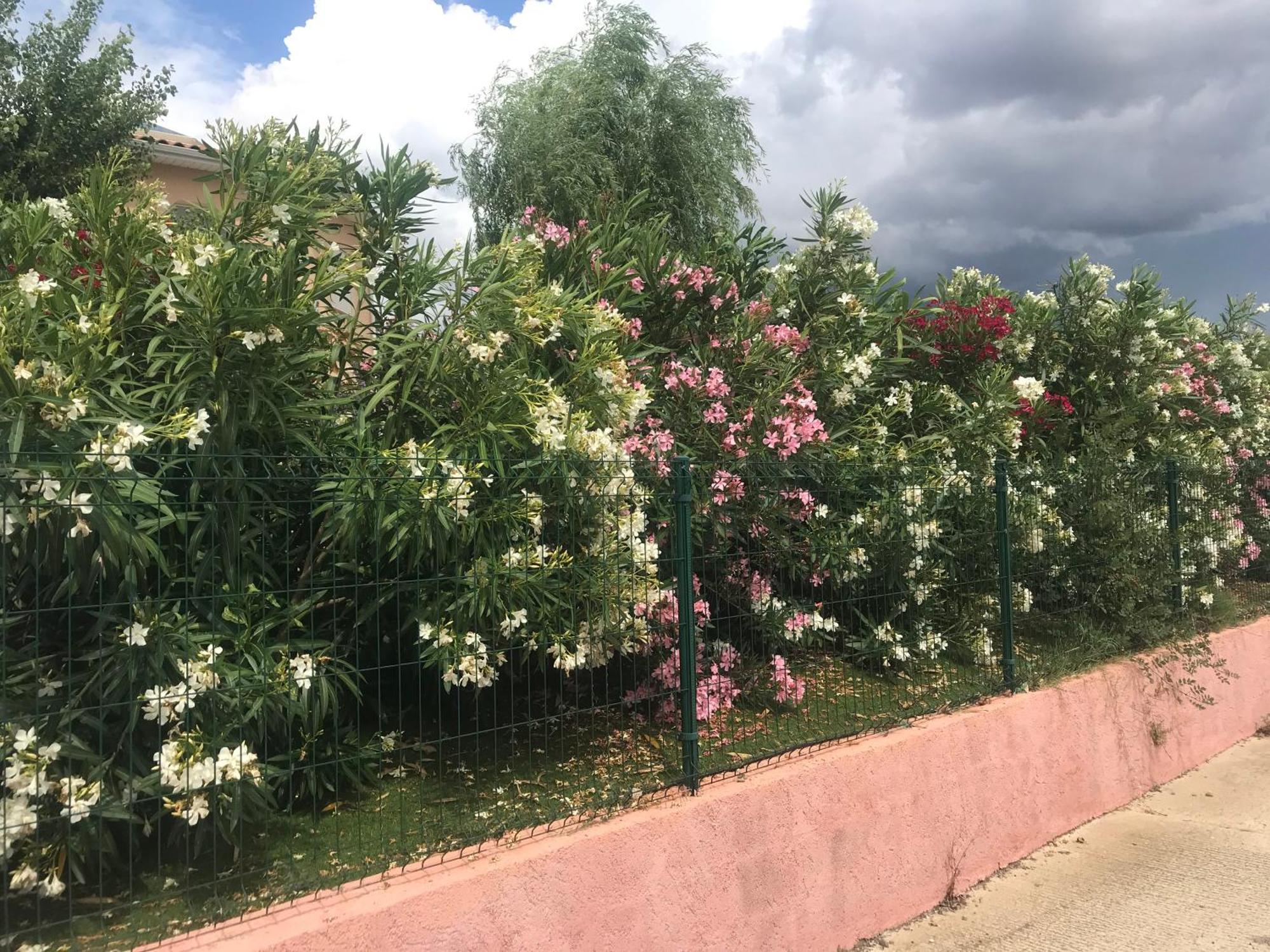 Moderne Mini Maison Lézignan-Corbières المظهر الخارجي الصورة