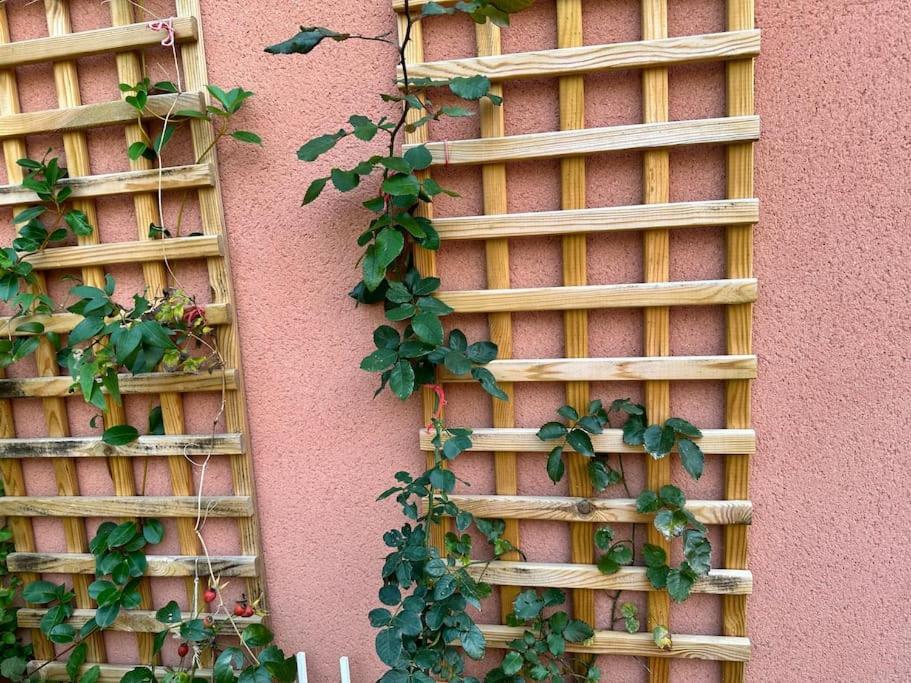 Moderne Mini Maison Lézignan-Corbières المظهر الخارجي الصورة