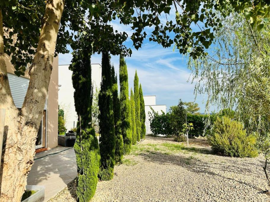 Moderne Mini Maison Lézignan-Corbières المظهر الخارجي الصورة